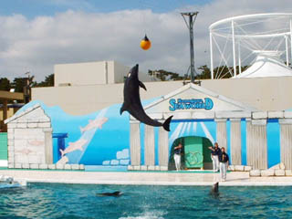 Kamogawa SeaWorld