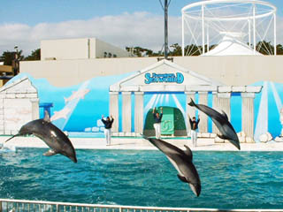 Kamogawa SeaWorld