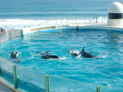 Kamogawa SeaWorld