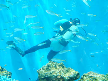 Yokohama Hakkeijima Sea Paradise