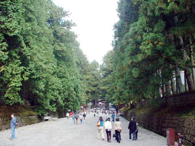 Nikko