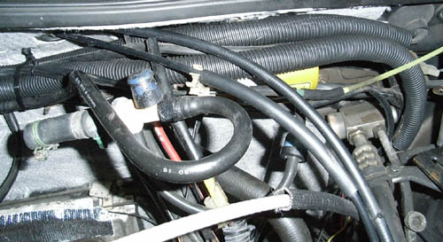 My Volkswagen, Engine