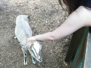 Ueno Zoo, Tokyo, Japan