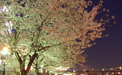 Asakusa, Sumida River