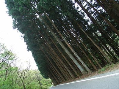 Abukuma Limestone Cave (Abukuma-do) and Irimizu Limestone Cave (Irimizu Shonyu-do)