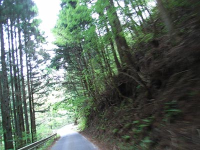 Abukuma Limestone Cave (Abukuma-do) and Irimizu Limestone Cave (Irimizu Shonyu-do)