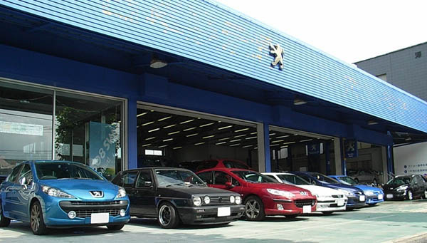 Car Inspection of Peugeot 406