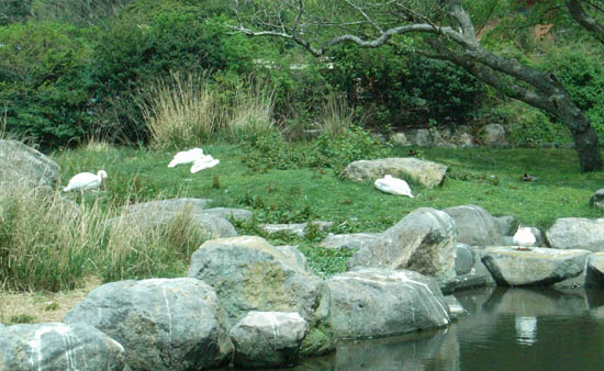 Japan Travel/Izu/Onsen/Hot spring