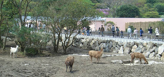 Japan Travel/Izu/Onsen/Hot spring