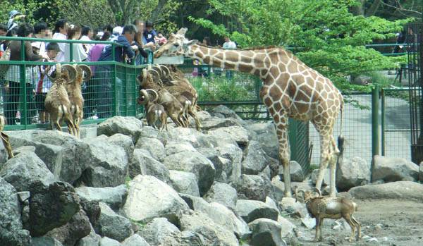 Japan Travel/Izu/Onsen/Hot spring