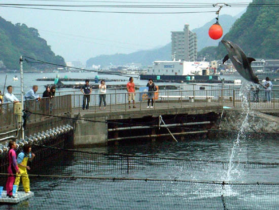 Japan Travel/Izu/Onsen/Hot spring