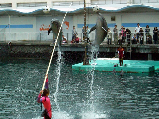 Japan Travel/Izu/Onsen/Hot spring