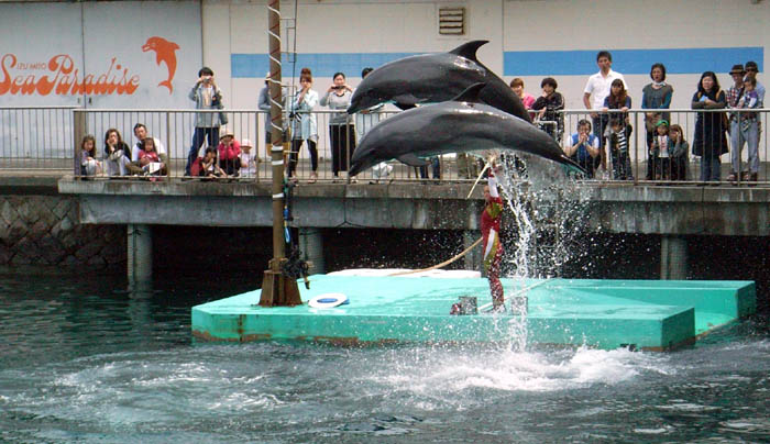 Japan Travel/Izu/Onsen/Hot spring