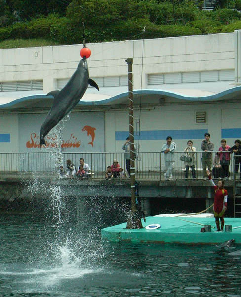 Japan Travel/Izu/Onsen/Hot spring