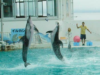 Japan Travel/Onsen/Hot spring