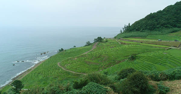 Japan Travel/Onsen/Hot spring