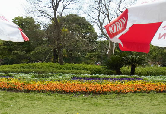 Tokyo Sea Life Park (Kasai Rinkai Suizokuen)