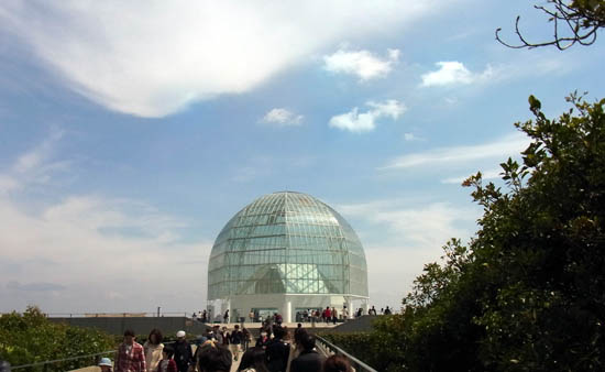 Tokyo Sea Life Park (Kasai Rinkai Suizokuen)