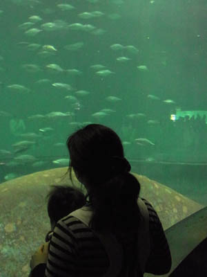 Tokyo Sea Life Park (Kasai Rinkai Suizokuen)