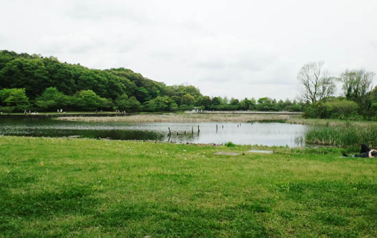 Forest and Park for the 21st Century (Nijuisseki No Mori To Hiroba)
