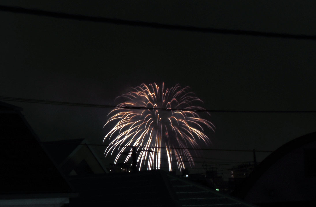 Edogawa Fireworks Festival 